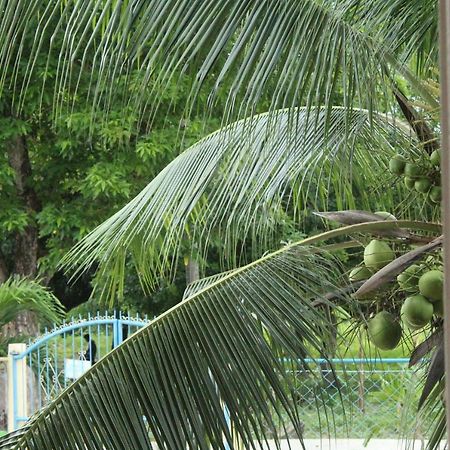 Maya Guest House - Sipaway Island San Carlos  Luaran gambar
